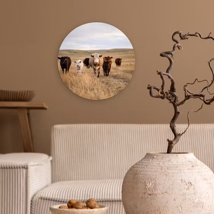 Runderen - Kudde - Landschap - Weide - Rustig Wandcirkel kunststof plaat 5mm dik klein -sfeer1