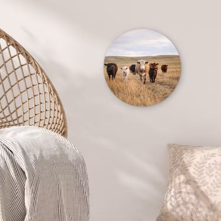Runderen - Kudde - Landschap - Weide - Rustig Wandcirkel kunststof plaat 5mm dik klein -sfeer5