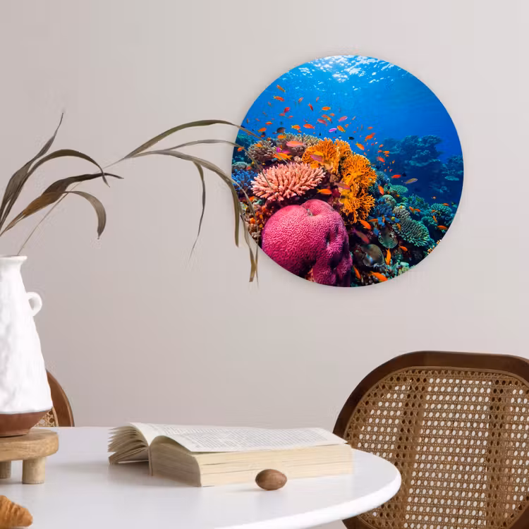 Koraal - Vissen - Oceaan - Natuur - Kleurrijk Wandcirkel kunststof plaat 5mm dik klein -sfeer4