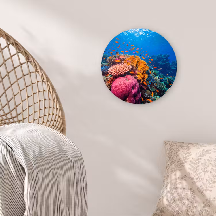 Koraal - Vissen - Oceaan - Natuur - Kleurrijk Wandcirkel kunststof plaat 5mm dik klein -sfeer5