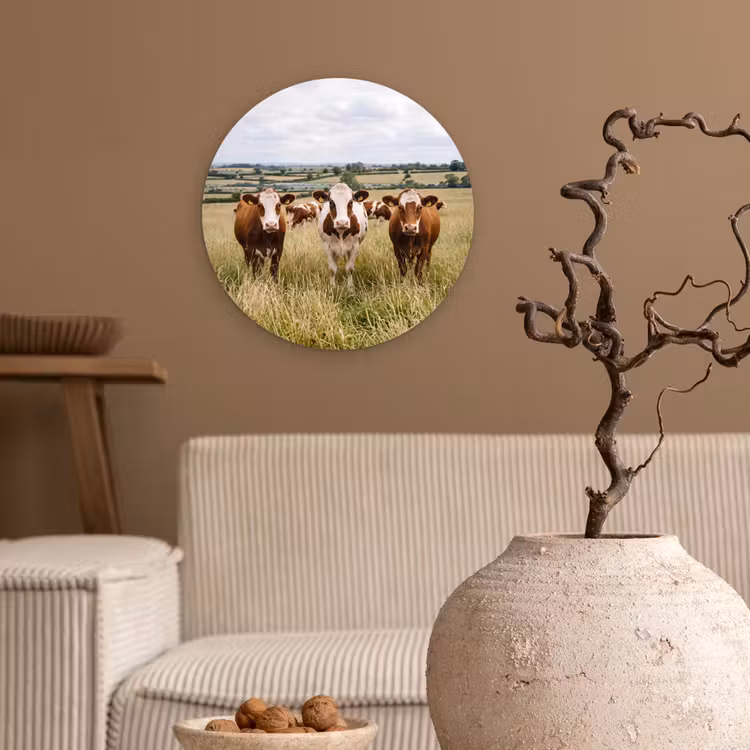 Koeien - Portret - Weide - Boerderij - Nieuwsgierig Wandcirkel kunststof plaat 5mm dik klein -sfeer1