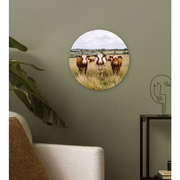 Koeien - Portret - Weide - Boerderij - Nieuwsgierig Wandcirkel kunststof plaat 5mm dik klein -sfeer3