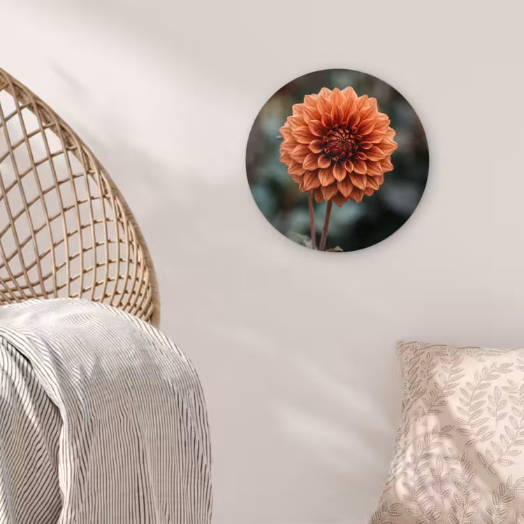 Dahlia - Bloem - Natuur - Sfeervol Wandcirkel kunststof plaat 5mm dik klein -sfeer5