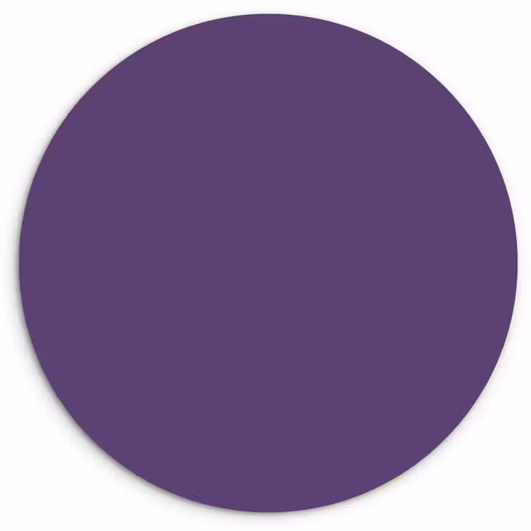 Deep - Plum - Paars Wandcirkel kunststof plaat 5mm dik klein 188 -3d