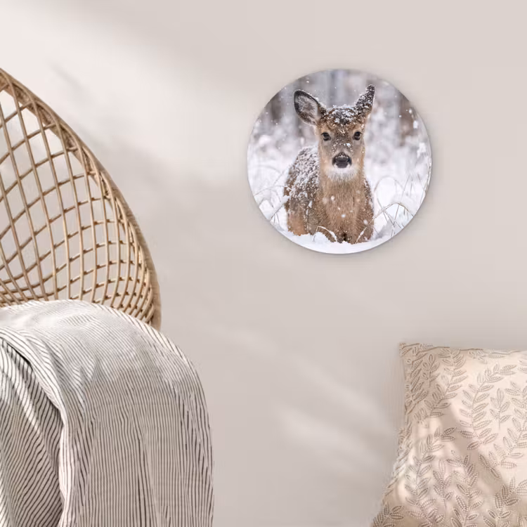 Hert - Sneeuw - Bos - Dieren - Vertederend Wandcirkel kunststof plaat 5mm dik klein -sfeer5