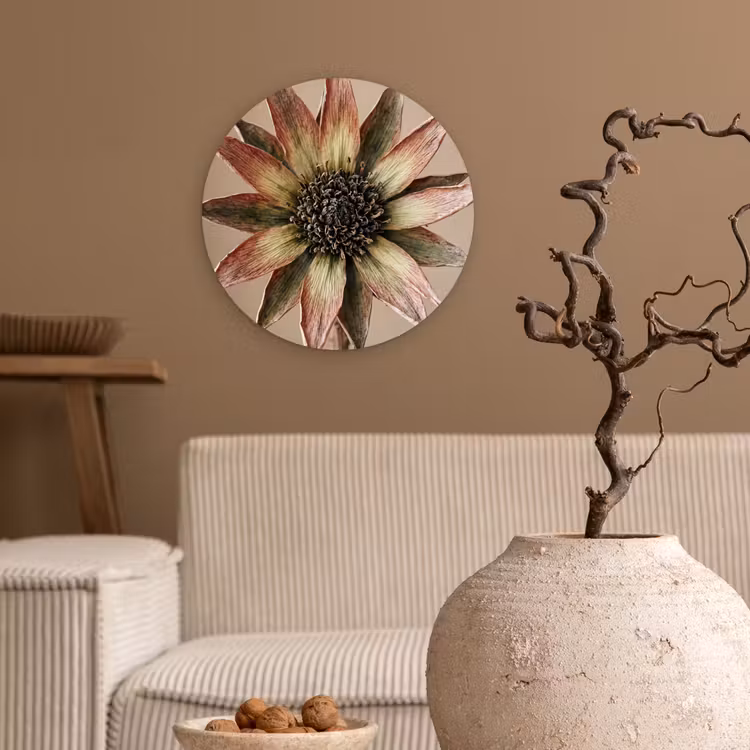 Droogbloem - Protea - Vintage - Beige - Rustiek Wandcirkel kunststof plaat 5mm dik klein -sfeer1