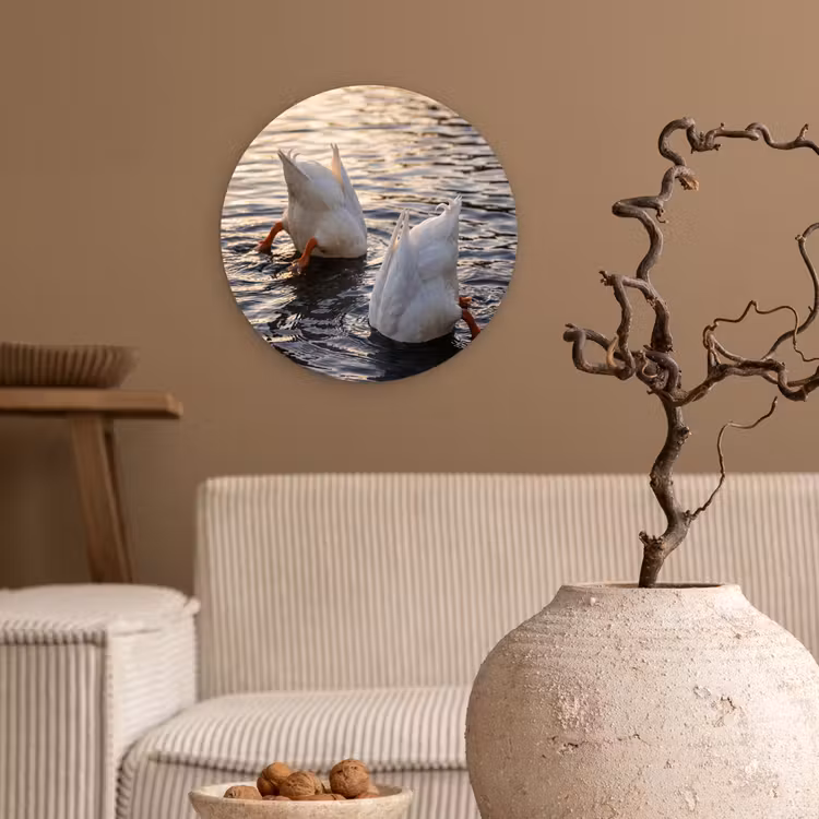 Eenden - Water - Natuur Wandcirkel kunststof plaat 5mm dik klein -sfeer1