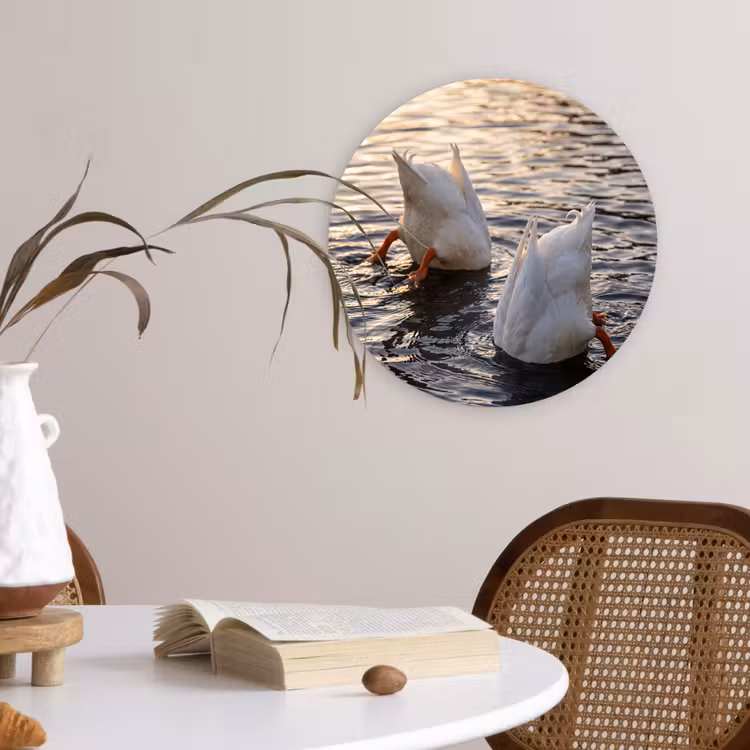 Eenden - Water - Natuur Wandcirkel kunststof plaat 5mm dik klein -sfeer4