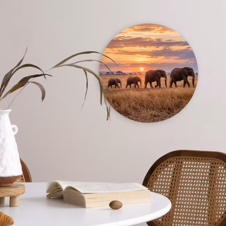 Olifanten - Savanne - Zonsondergang - Afrika - Warm Wandcirkel kunststof plaat 5mm dik klein -sfeer4