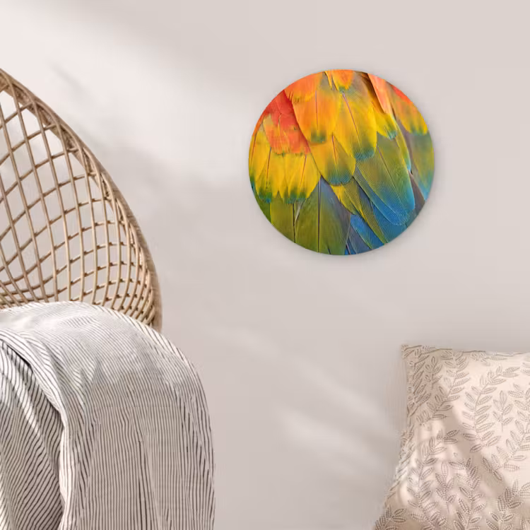 Veren - Ara - Kleurrijk Wandcirkel kunststof plaat 5mm dik klein -sfeer5