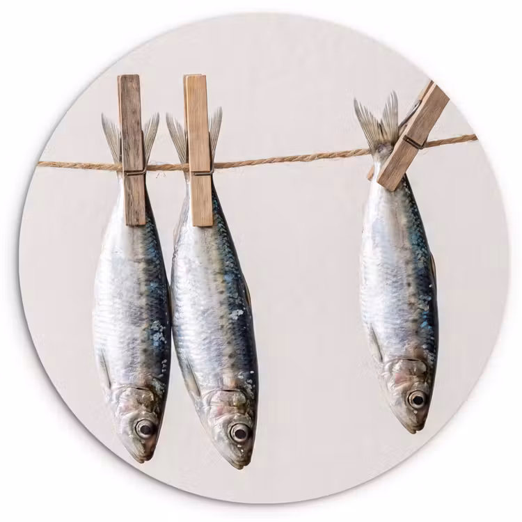 round wall art - Fish - Hanging - Food - Vis - Hangend - Eten Wandcirkel kunststof plaat 5mm dik klein