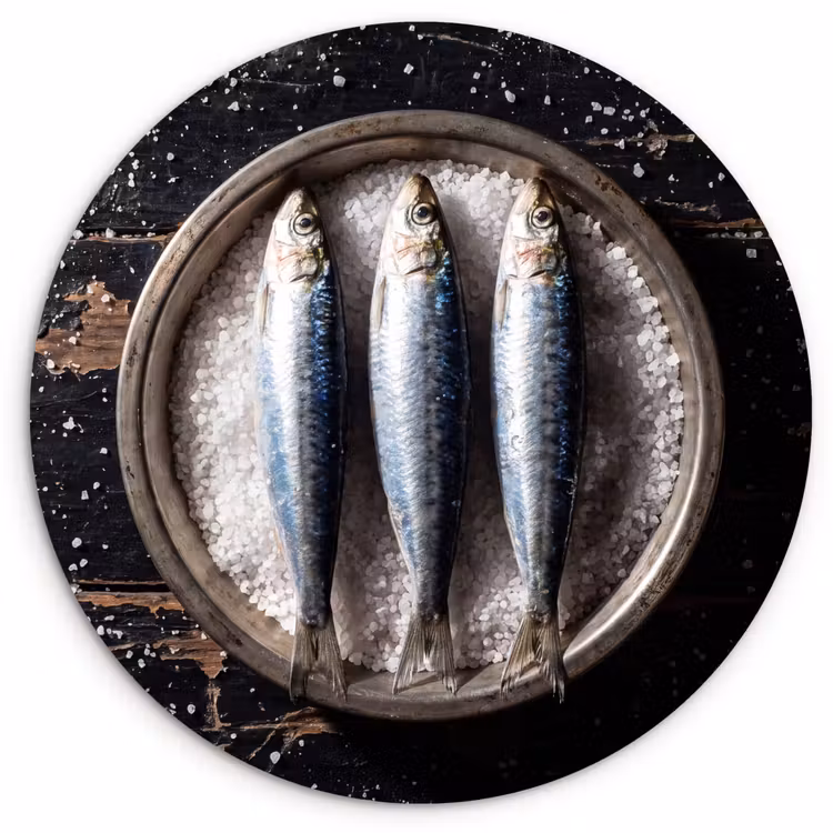 round wall art - Fish - Salt - Food - Vis - Zout - Eten Wandcirkel kunststof plaat 5mm dik klein