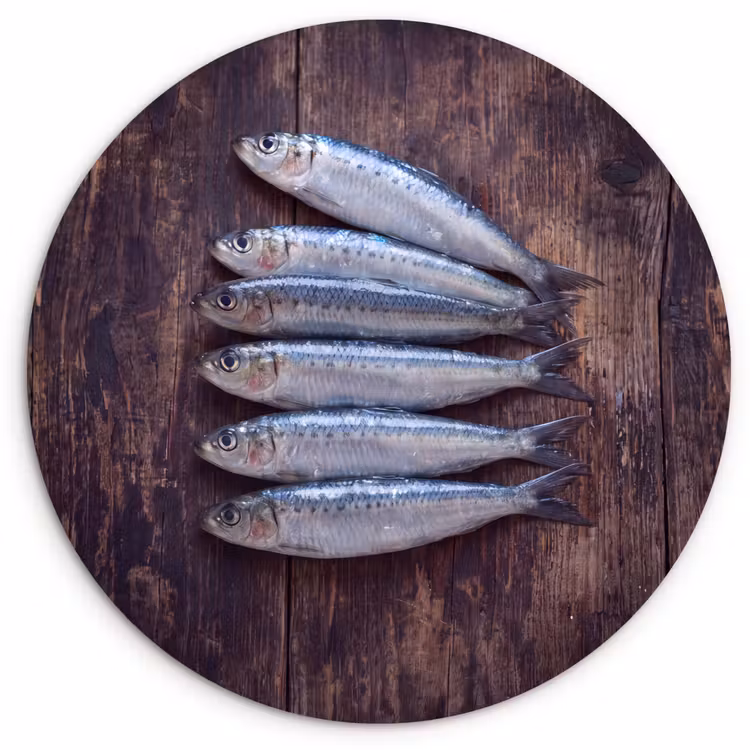 round wall art - Fish - Wood - Food - Vis - Hout - Eten Wandcirkel kunststof plaat 5mm dik klein