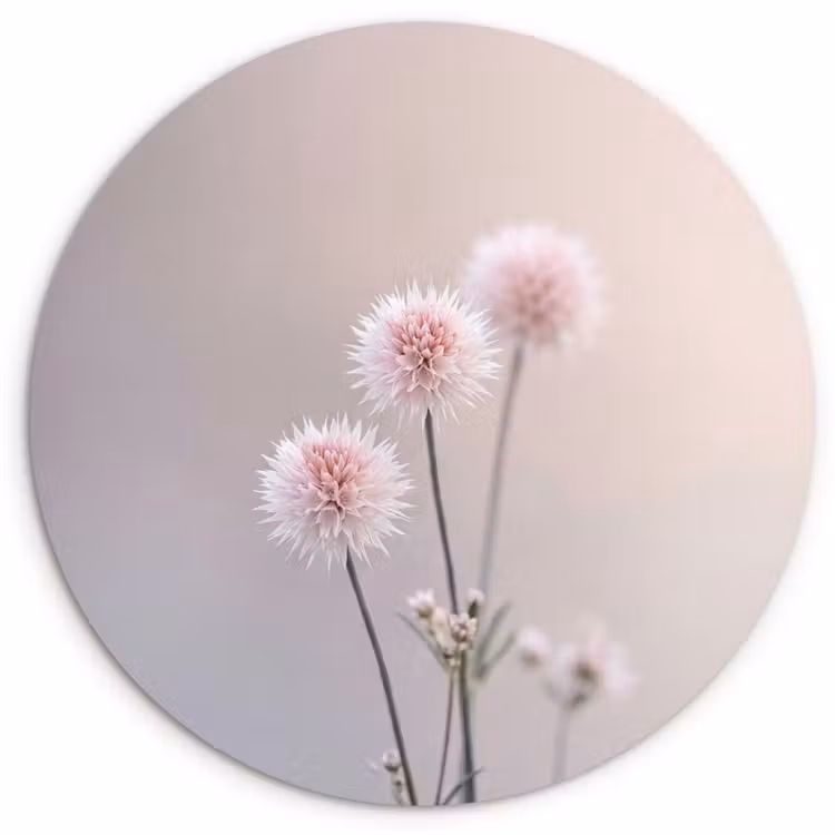 Bloemen - Bollen - Roze Wandcirkel kunststof plaat 5mm dik klein -3d