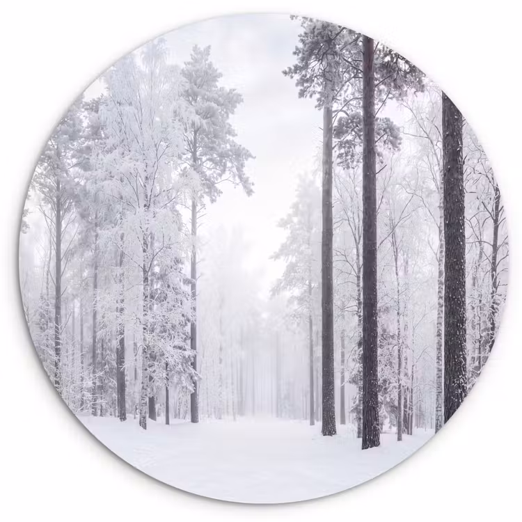 Bos - Sneeuw - Pad - Winter - Stilte Wandcirkel kunststof plaat 5mm dik klein -3d