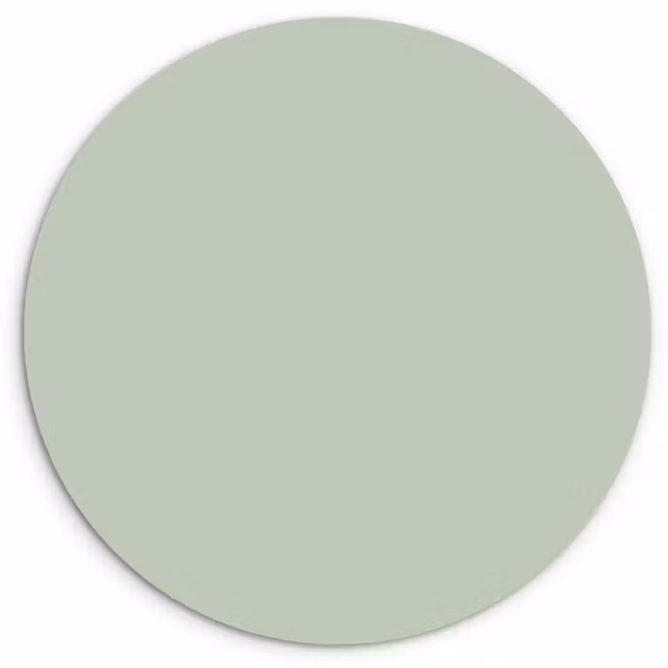 Frosted - Mint - Groen Wandcirkel kunststof plaat 5mm dik klein 188 -3d