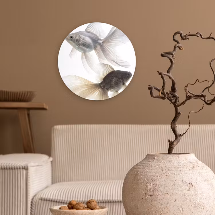Goudvissen - Modern - Wit Wandcirkel kunststof plaat 5mm dik klein -sfeer1