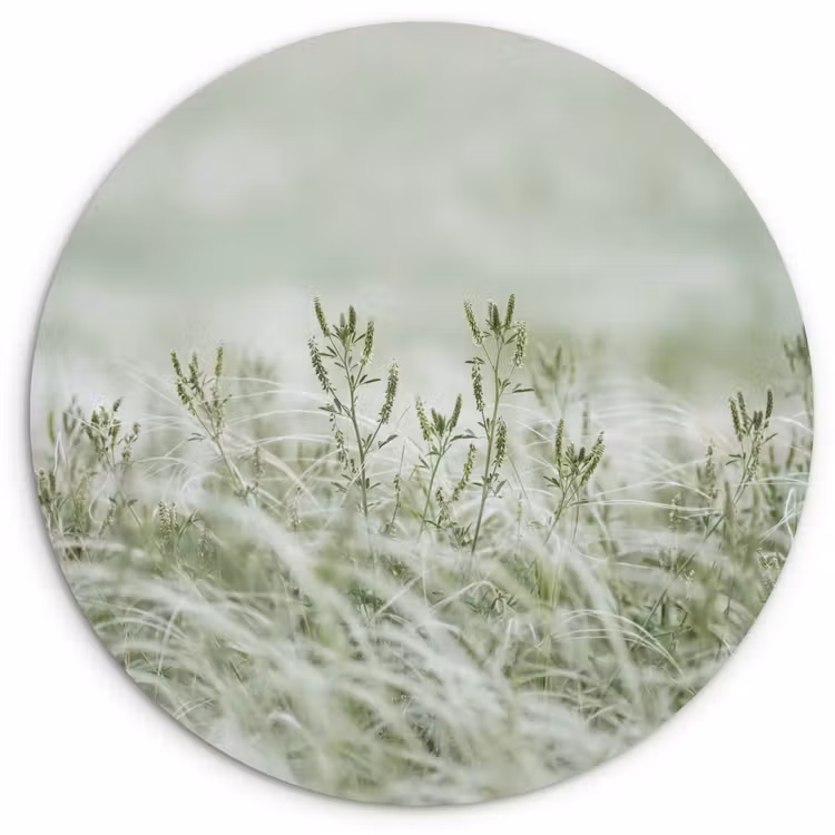 Grassen - Minimalistisch - Groen Wandcirkel kunststof plaat 5mm dik klein -3d