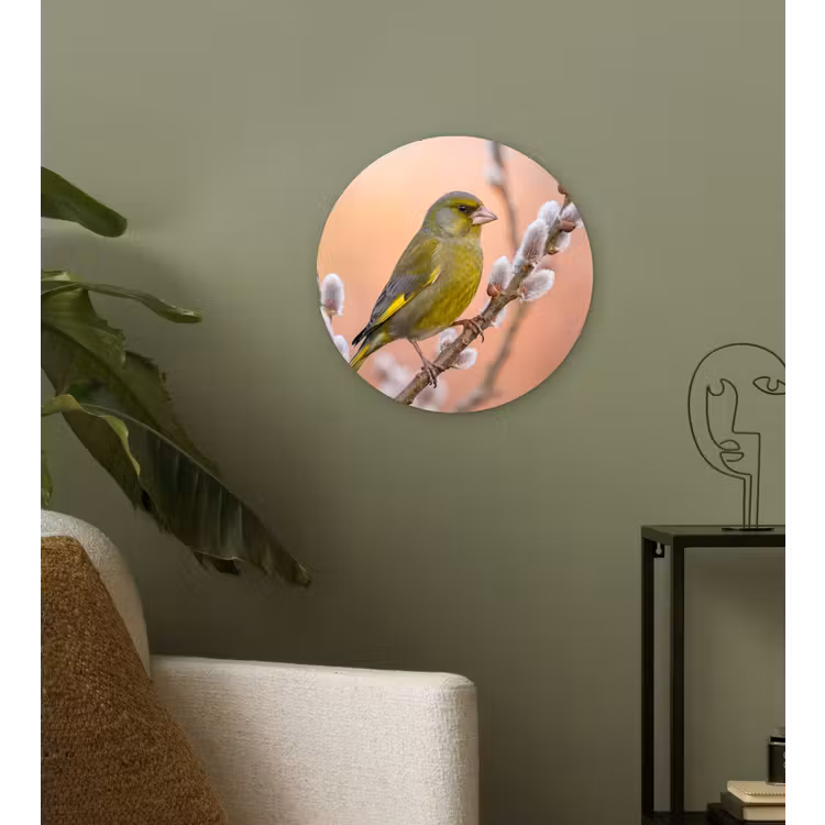Groenling - Katjes - Lente - Natuur - Zacht Wandcirkel kunststof plaat 5mm dik klein -sfeer3