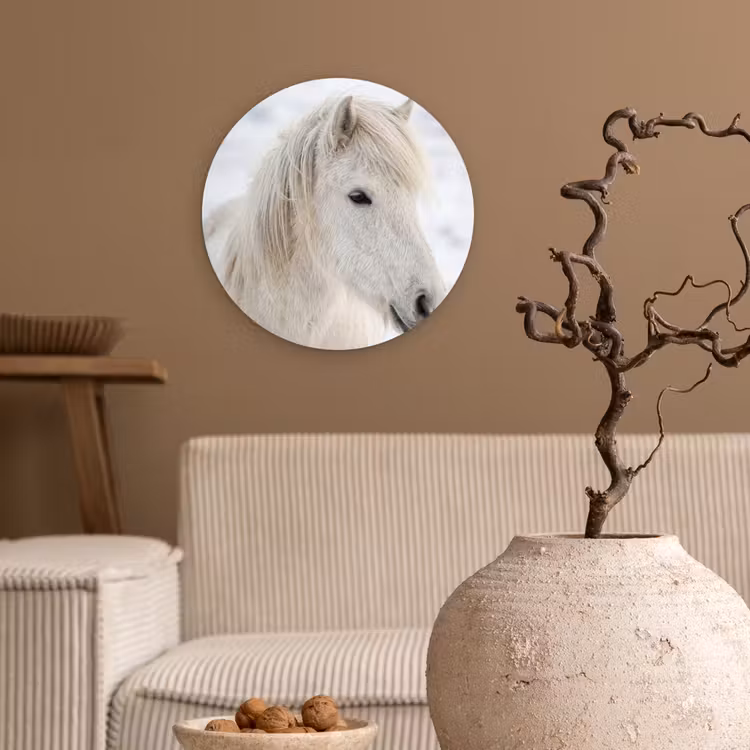 Paard - Kop - Winter - Dieren - Wit Wandcirkel kunststof plaat 5mm dik klein -sfeer1