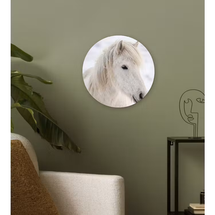 Paard - Kop - Winter - Dieren - Wit Wandcirkel kunststof plaat 5mm dik klein -sfeer3