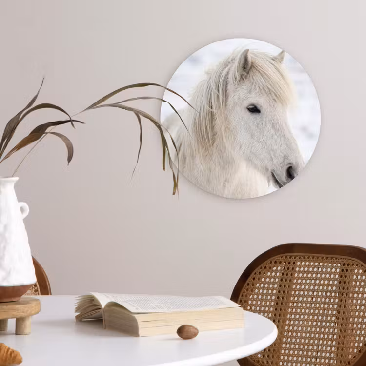 Paard - Kop - Winter - Dieren - Wit Wandcirkel kunststof plaat 5mm dik klein -sfeer4