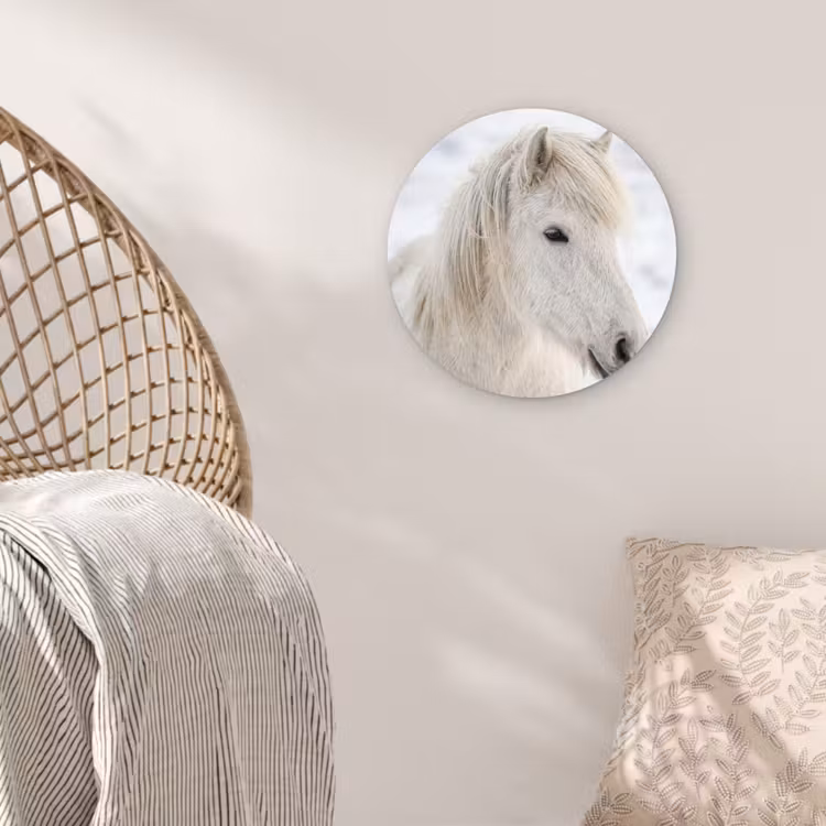 Paard - Kop - Winter - Dieren - Wit Wandcirkel kunststof plaat 5mm dik klein -sfeer5