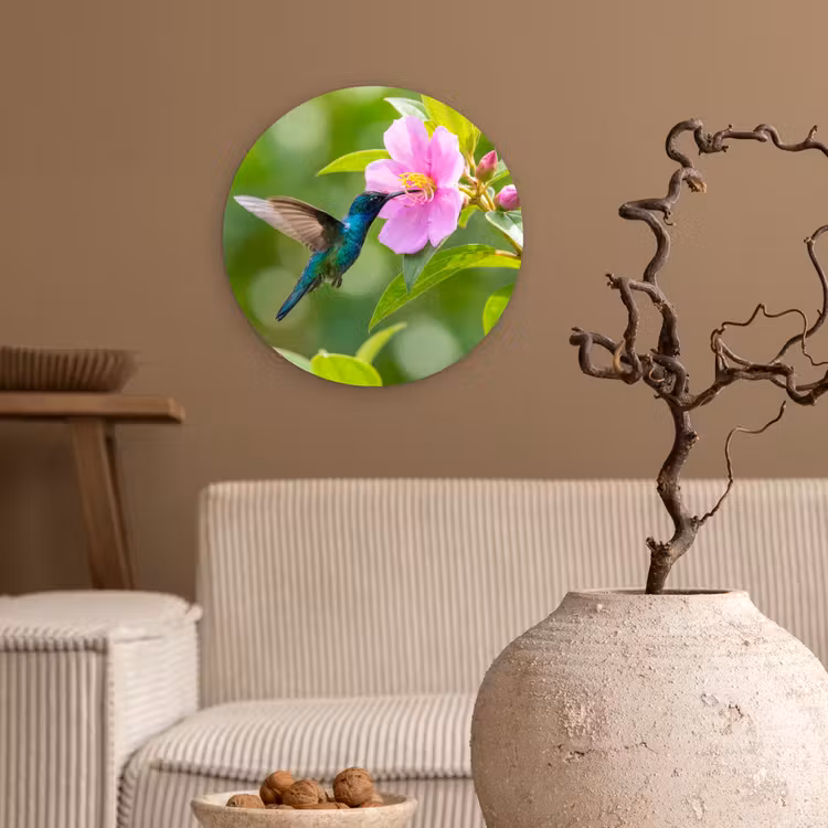 Kolibrie - Bloem - Natuur - Groen Wandcirkel kunststof plaat 5mm dik klein -sfeer1