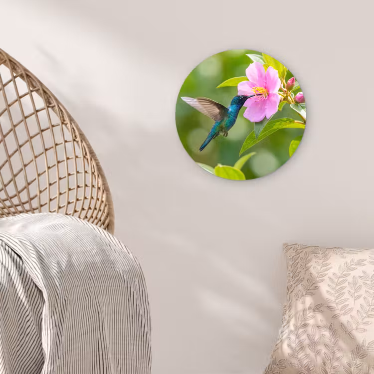 Kolibrie - Bloem - Natuur - Groen Wandcirkel kunststof plaat 5mm dik klein -sfeer5