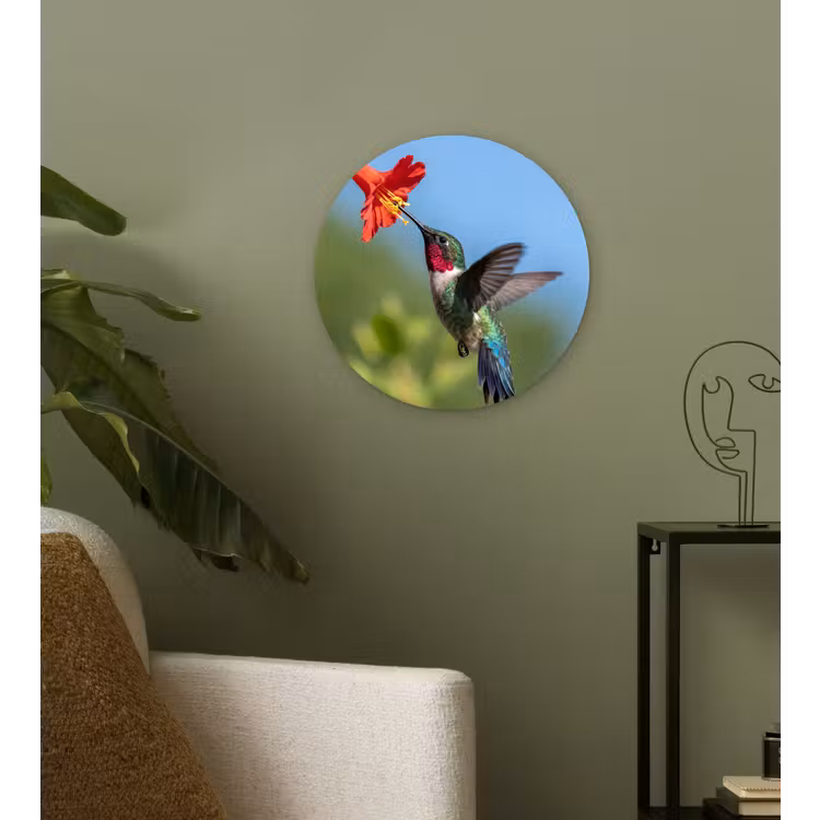 Kolibrie - Bloem - Natuur - Groen Wandcirkel kunststof plaat 5mm dik klein -sfeer3