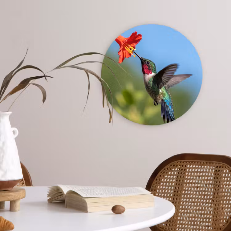 Kolibrie - Bloem - Natuur - Groen Wandcirkel kunststof plaat 5mm dik klein -sfeer4