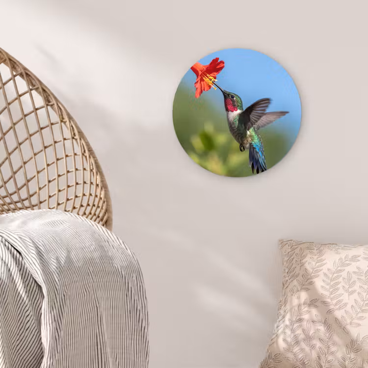 Kolibrie - Bloem - Natuur - Groen Wandcirkel kunststof plaat 5mm dik klein -sfeer5