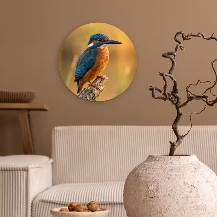 IJsvogel - Tak - Water - Kleurrijk - Levendig Wandcirkel kunststof plaat 5mm dik klein -sfeer1
