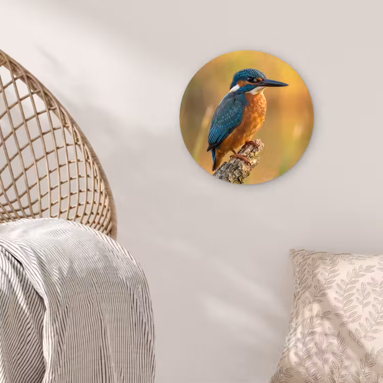 IJsvogel - Tak - Water - Kleurrijk - Levendig Wandcirkel kunststof plaat 5mm dik klein -sfeer5