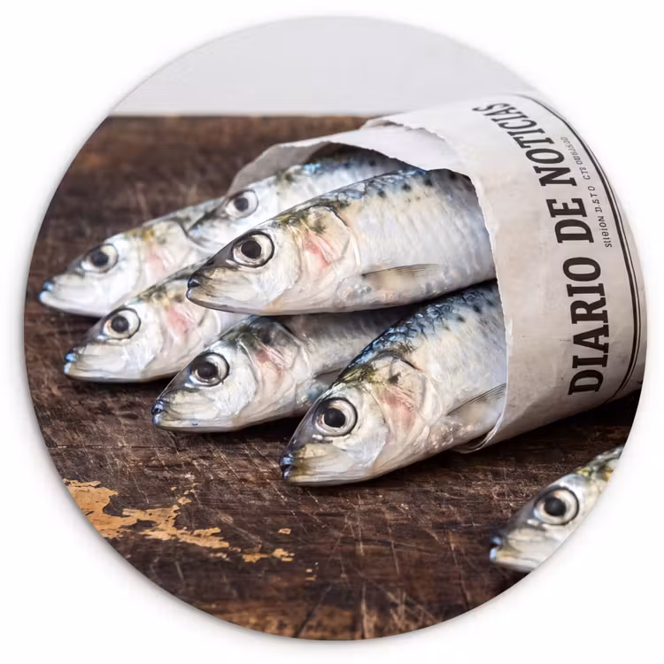 round wall art - Little Sardine - newspaper - cutting board - Sardientje - krant - snijplank Wandcirkel kunststof plaat 5mm dik klein
