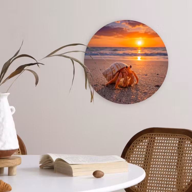 Kreeft - Strand - Natuur - Zonsondergang - Oranje Wandcirkel kunststof plaat 5mm dik klein -sfeer4