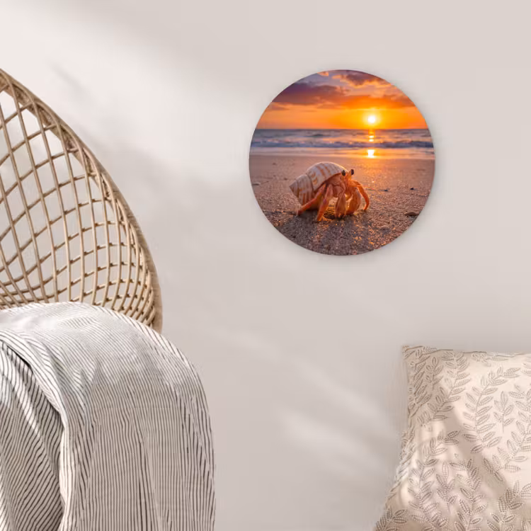 Kreeft - Strand - Natuur - Zonsondergang - Oranje Wandcirkel kunststof plaat 5mm dik klein -sfeer5