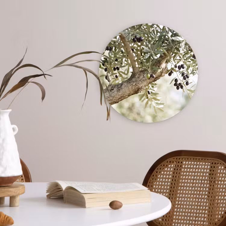 round wall art - Olive tree - branch - green - Olijfboom - tak - groen Wandcirkel kunststof plaat 5mm dik klein