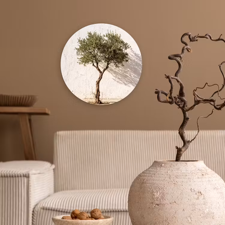 round wall art - Olive Tree - Wall - White - Olijfboom - muur - wit Wandcirkel kunststof plaat 5mm dik klein