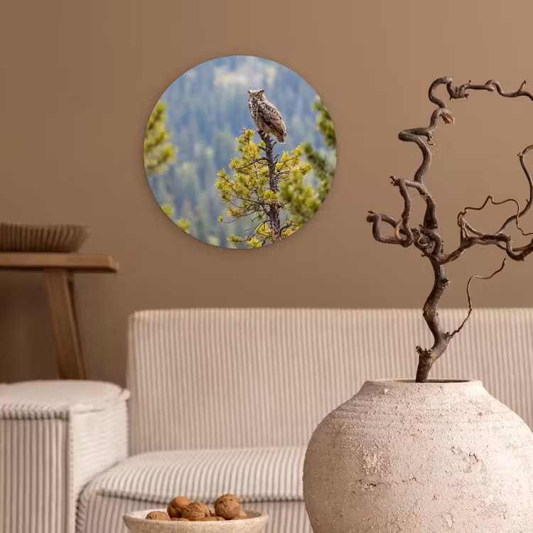 Uil - Oehoe - Bomen - Natuur Wandcirkel kunststof plaat 5mm dik klein -sfeer1