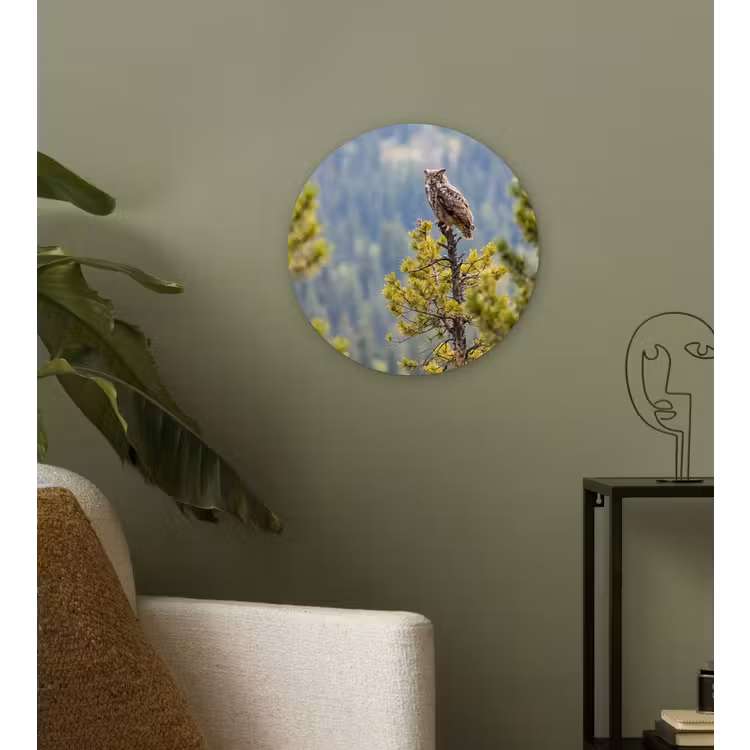 Uil - Oehoe - Bomen - Natuur Wandcirkel kunststof plaat 5mm dik klein -sfeer3