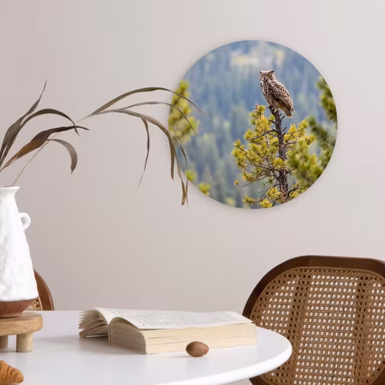 Uil - Oehoe - Bomen - Natuur Wandcirkel kunststof plaat 5mm dik klein -sfeer4