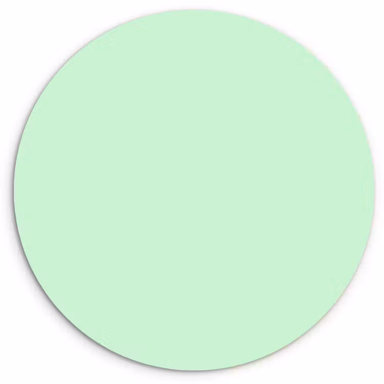 Pale - Mint - Groen Wandcirkel kunststof plaat 5mm dik klein 188 -3d
