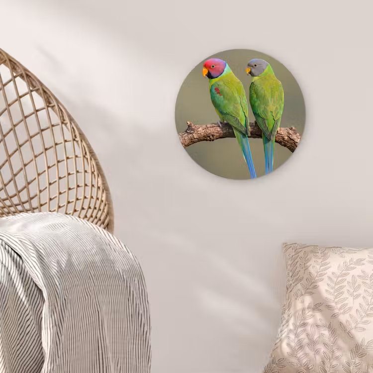 Papagaai - Tak - Natuur - Kleurrijk Wandcirkel kunststof plaat 5mm dik klein -sfeer5
