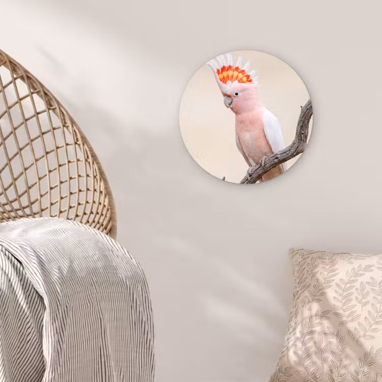 Papagaai - Tak - Roze Wandcirkel kunststof plaat 5mm dik klein -sfeer5