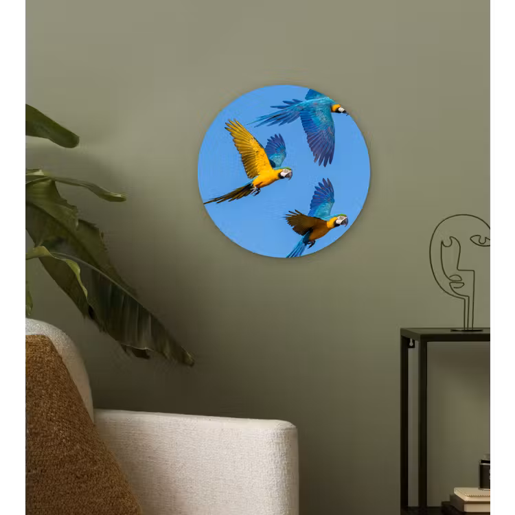 Papagaai - Vliegen - Blauw - Geel Wandcirkel kunststof plaat 5mm dik klein -sfeer3