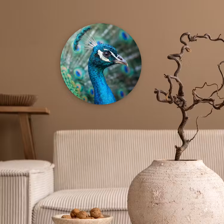 Pauw - Veren - Blauw Wandcirkel kunststof plaat 5mm dik klein -sfeer1