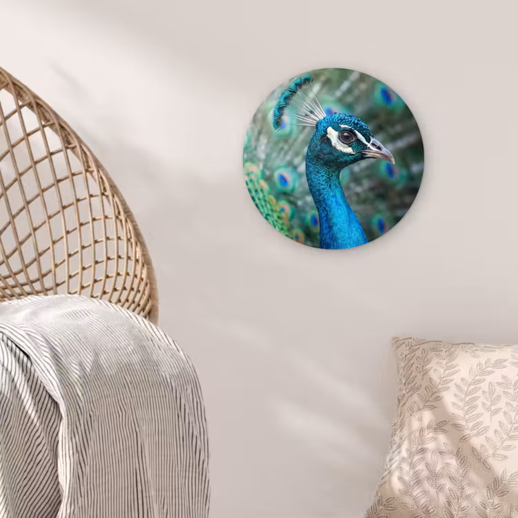 Pauw - Veren - Blauw Wandcirkel kunststof plaat 5mm dik klein -sfeer5