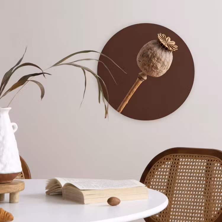 Papaverbol - Droogbloem - Bruin - Minimalistisch Wandcirkel kunststof plaat 5mm dik klein -sfeer4