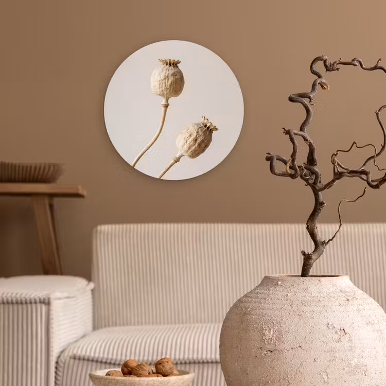 Papaverbollen - Droogbloemen - Minimalistisch - Beige - Rustig Wandcirkel kunststof plaat 5mm dik klein -sfeer1